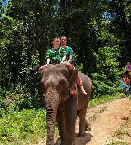 Elefantenreiten in Thailand